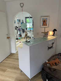 Empfangsbereich Blick auf den Empfangsbereich mit Theke von Dée Scherer Salon & Spa für Vierbeiner