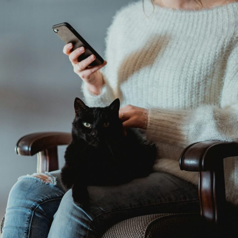 Eine Person in einem weißen Pullover sitzt mit einem schwarzen Kater auf dem Schoß und schaut aufs Handy.